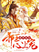 邪妃惑世之