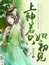 若只如初见小说