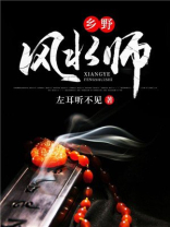 乡村风水师在都市免费阅读