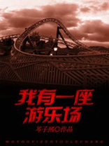 我有一个游乐场