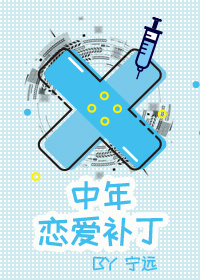 中年恋爱补丁作者:宁远