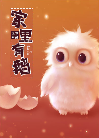 家里有鹅 小说