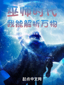 巫师时代我能解析万物小说