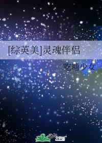灵魂伴侣英文怎么写