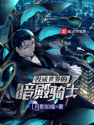 漫威世界的暗殿骑士 小说