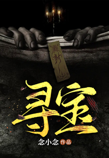 寻宝网