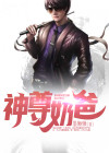 神尊奶爸路铮