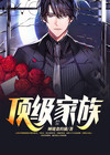 小说主角姓叶京城顶级家族