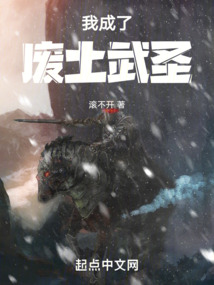 我成了废土武圣小说