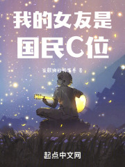 小说我的女友是idol