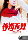神婿无敌