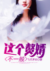 这个赘婿不一般 小说
