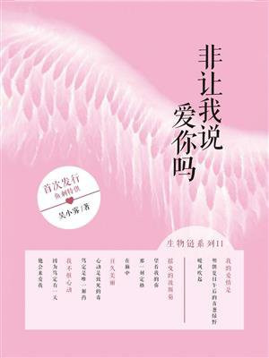 非让我说爱你吗讲的什么