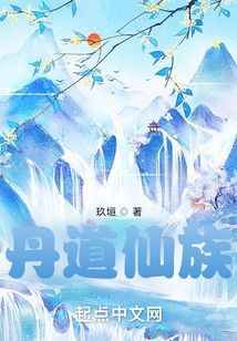 丹道仙族小说