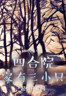 四合院:家有三小只TXT下载