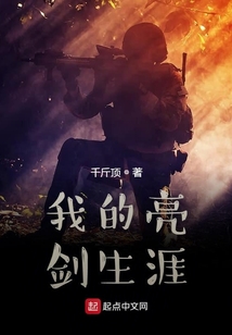 我的亮剑生涯免费TXT下载