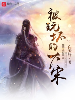 玩坏了的大宋