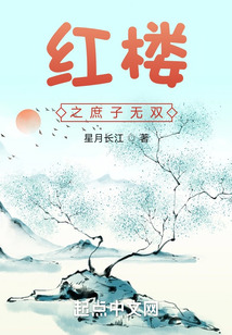 红楼之庶子无双星月长江