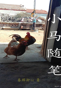 小马的文章