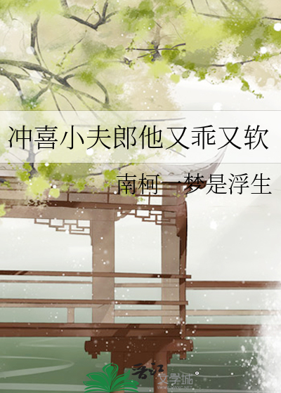 冲喜小夫郎 作者:春汉