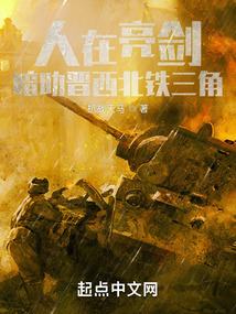 人在亮剑,暗助晋西北铁三角笔趣阁