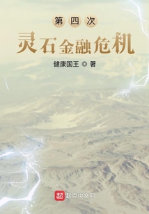 第四次灵石金融危机小说