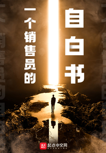 一个销售员的自白书免费笔趣阁