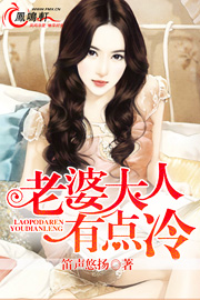 老婆大人有点冷小说免费阅读全文正版