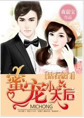 钻石蜜婚 小说