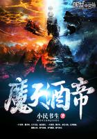魔天酒帝 小民书生