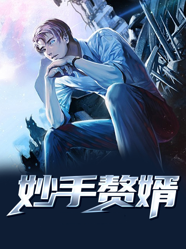 妙手赘婿叶风云