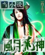 风月大帝叶子龙小说