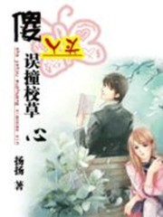 傻丫头误撞校草心全文下载