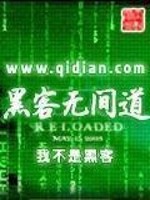 黑客无间道 小说