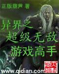 异界之游戏高手txt