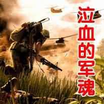 泣血的军魂TXT