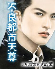 都市之无敌天尊