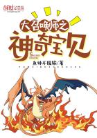 大召唤师之神奇宝贝类小说