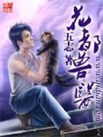 于梦小芳小春小说花都兽医