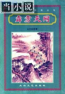 霹雳天网系列2、秘密组织 云中岳