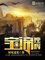 宝谛独辉小说