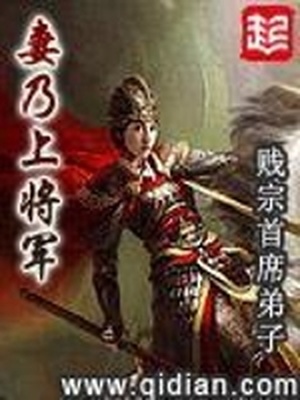 妻乃上将军谢安身世