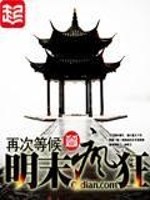 明末疯狂打天下小说