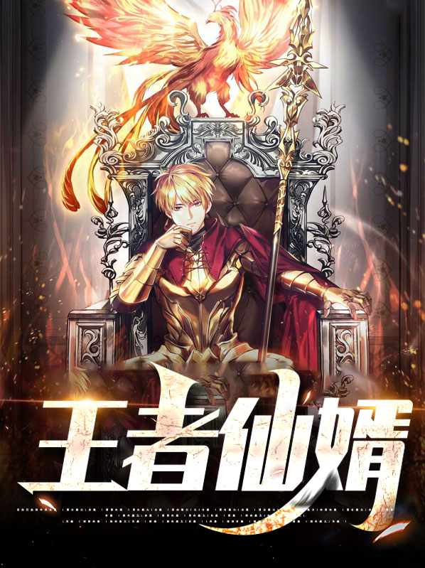 王者废婿小说