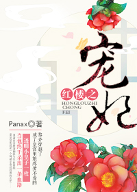 红楼之宠妃全文免费阅读