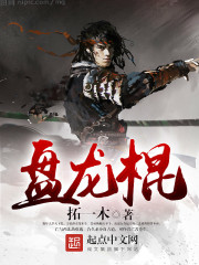 盘龙棍武魂