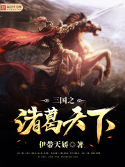 三国之诸葛天下诸葛均