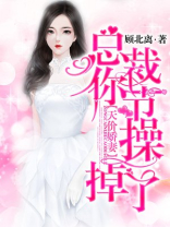 天价娇妻总裁我要离婚小说