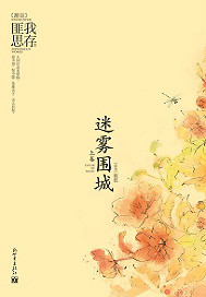 迷雾围城讲的什么