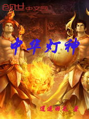 中华灯灯罩